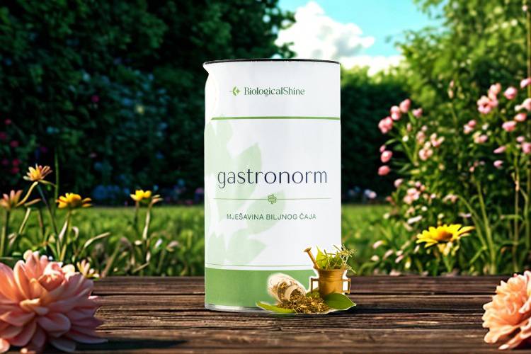Gastronorm