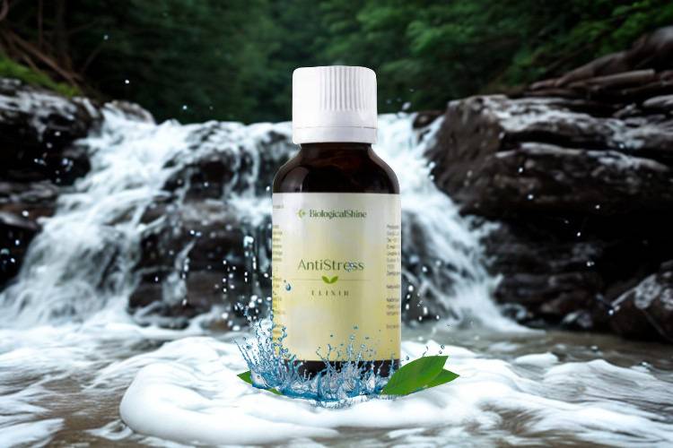 Anti Stress Elixir